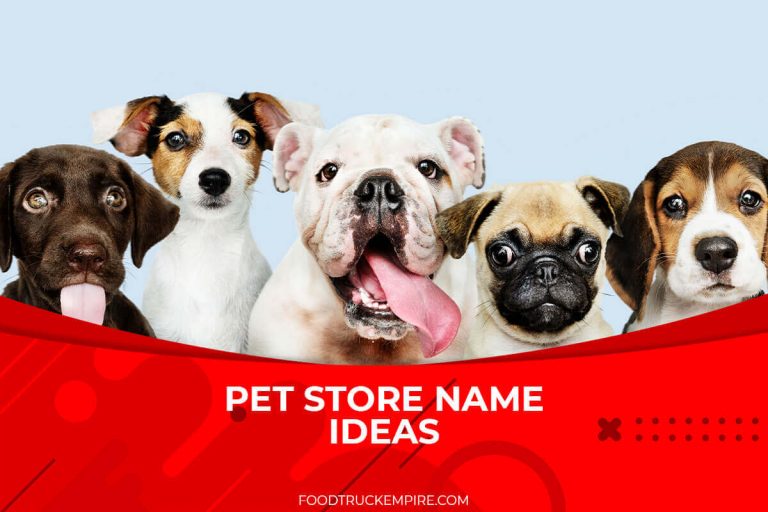 Finding the Perfect Name for Your Pet Store: Brainstorming Tips & Tricks