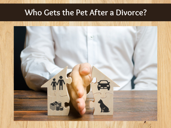 Who Gets the Pet After a Divorce? - The Pet Blog Lady
