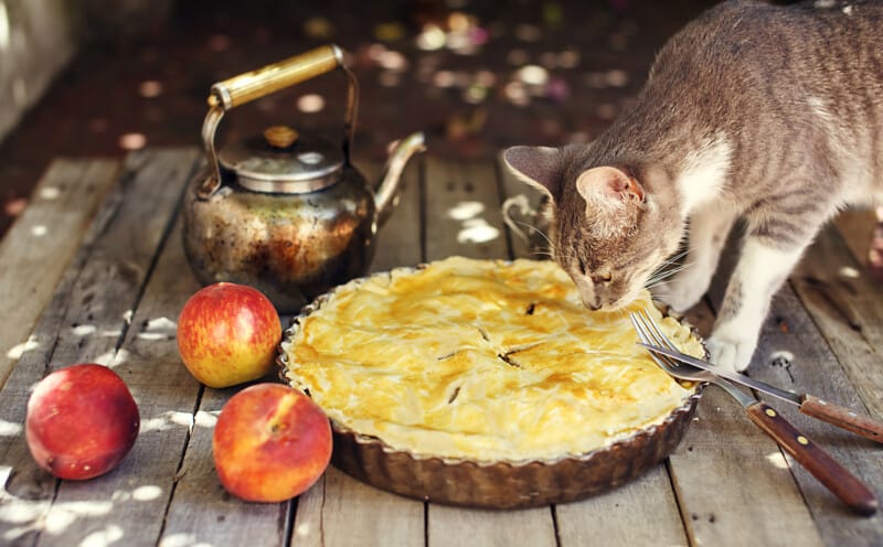 Cat smelling a peach pie on wooden table with fresh fruits, kettle, fork and knife.