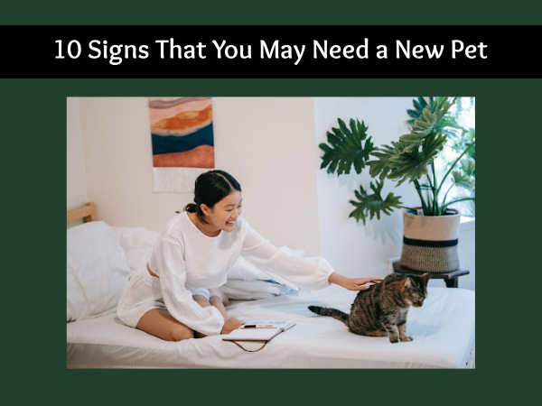 10 Signs That You May Need a New Pet - The Pet Blog Lady