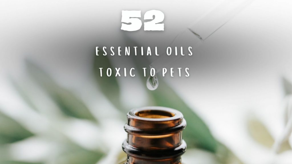 Essential Oils Toxic to Pets