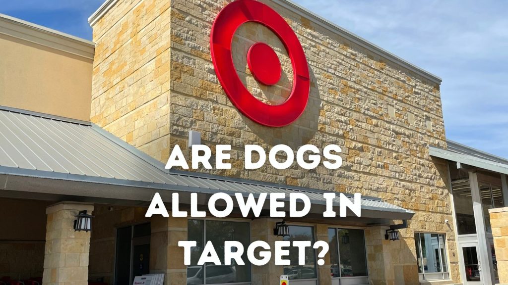 Is Target dog friendly?
