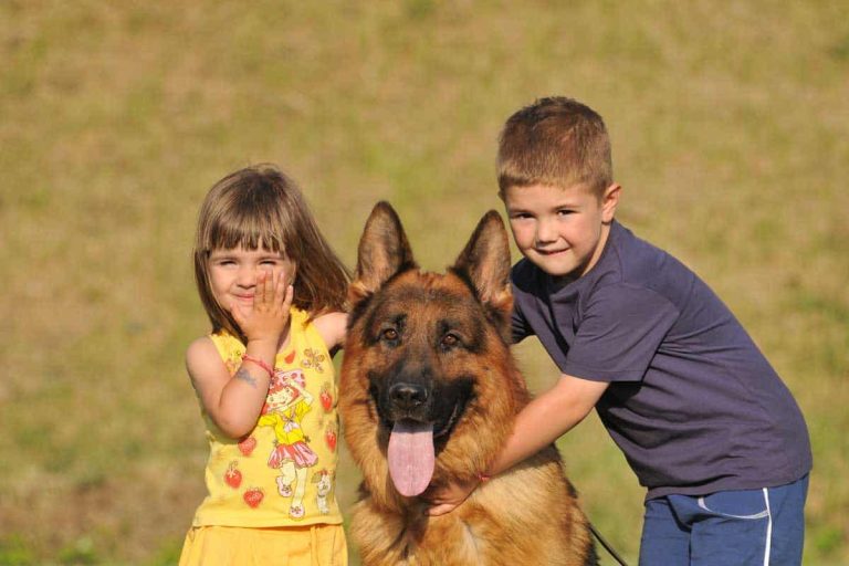Are German Shepherds Good With Kids? (Top Trust Tips)