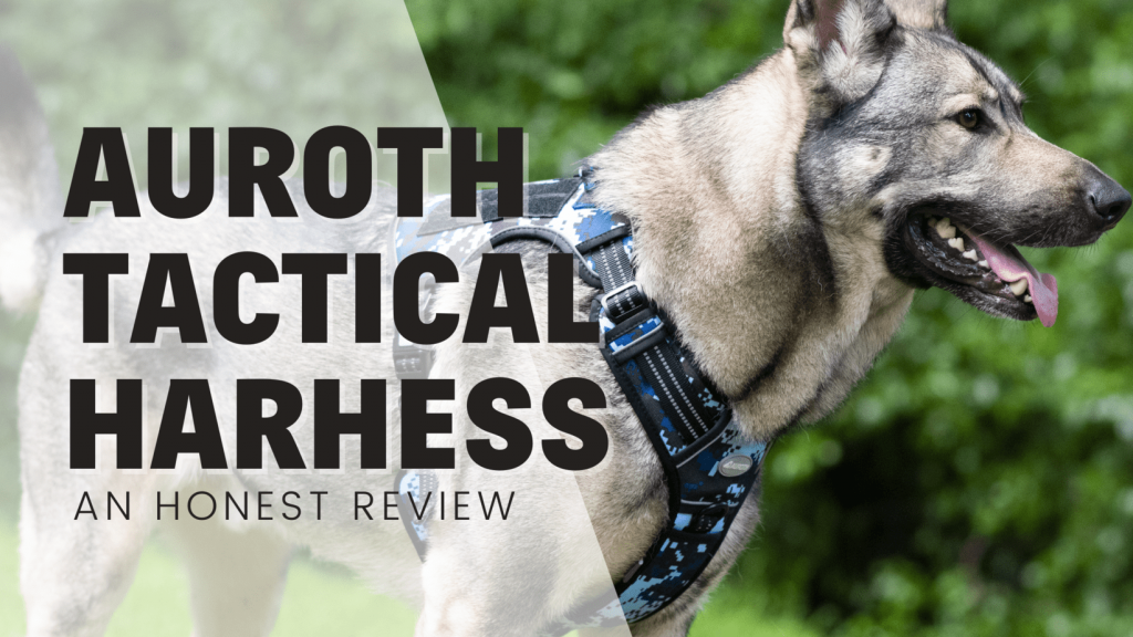 Auroth Tactical Dog Harness - An Honest Review