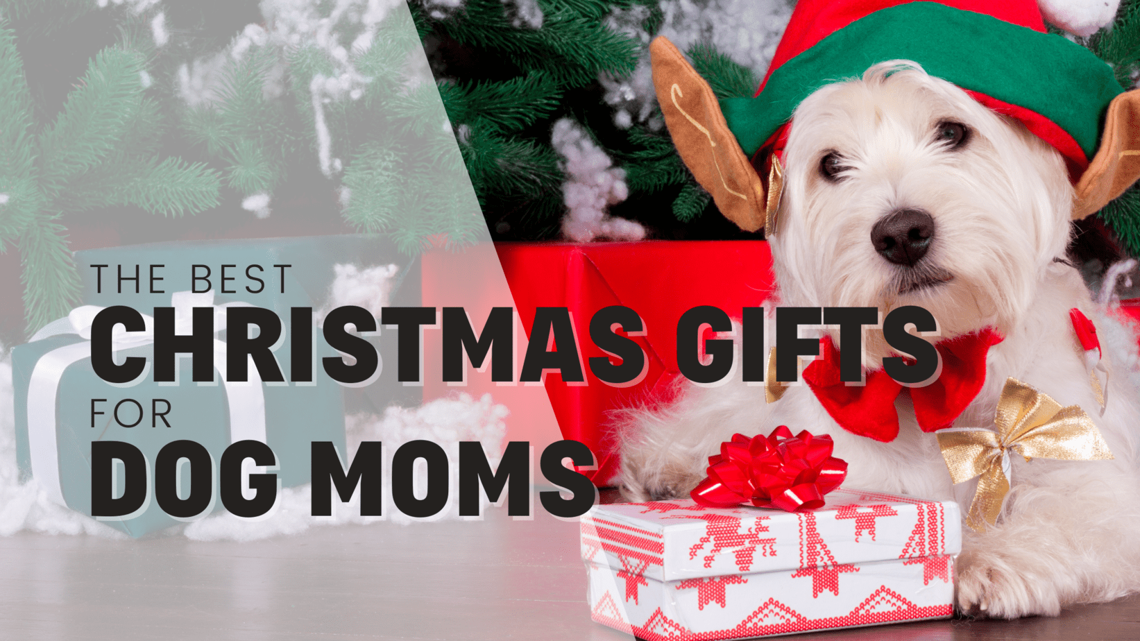 Best Christmas Gifts For Dog Moms!