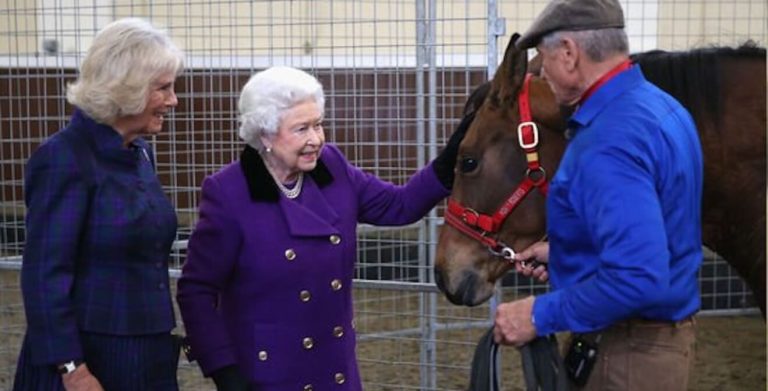 Equine Expert’s Personal Tribute to Queen Elizabeth II