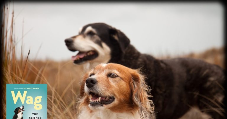 Happy Dogs and More Happy Dogs with Radio New Zealand