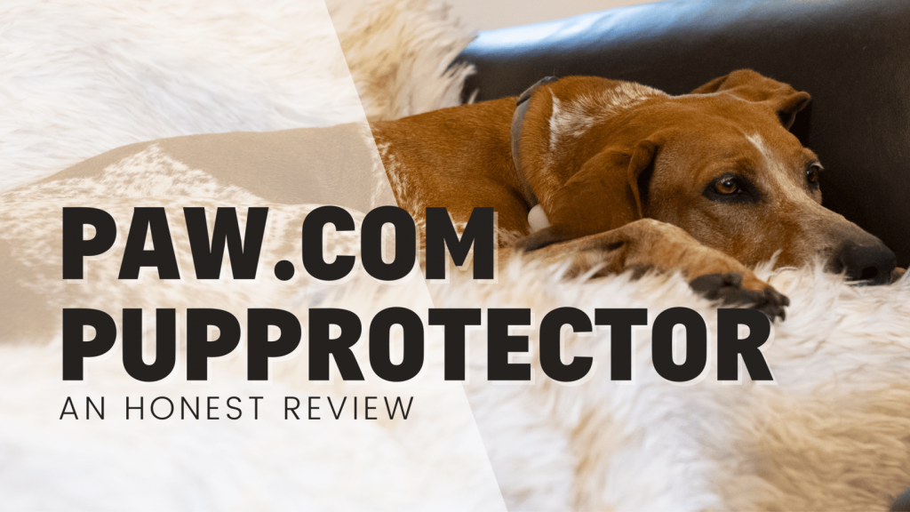 Paw.com PupProtector - An Honest Review