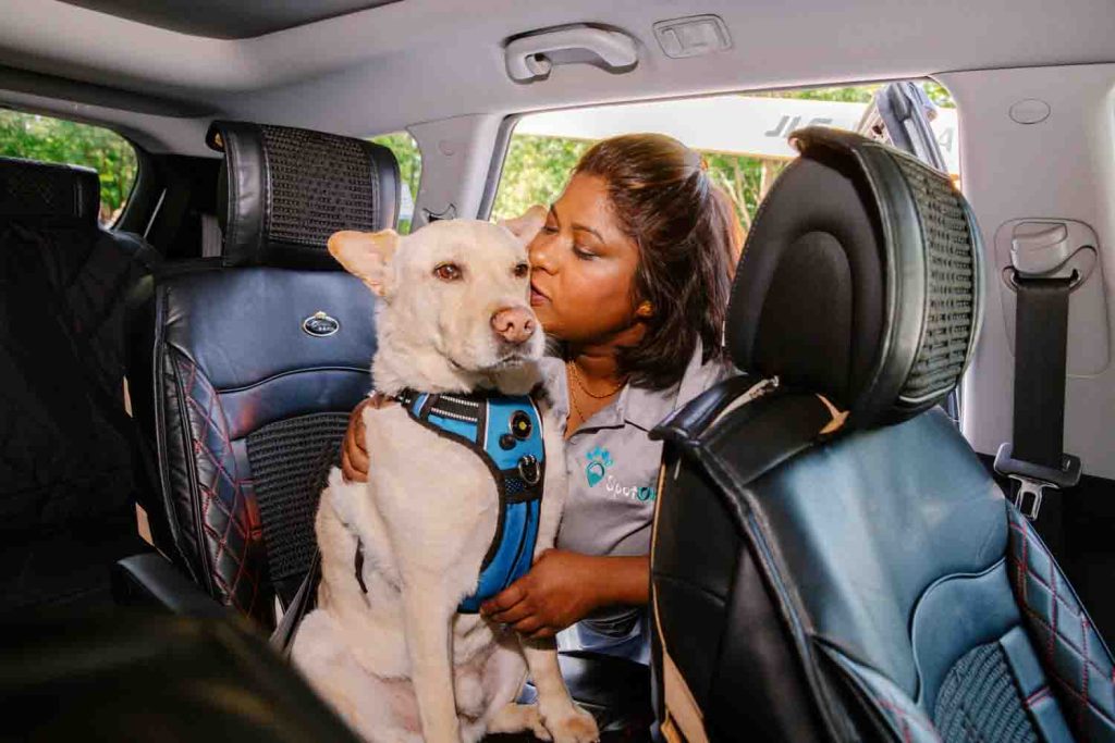 Spot On Pet Ride Sharing Service