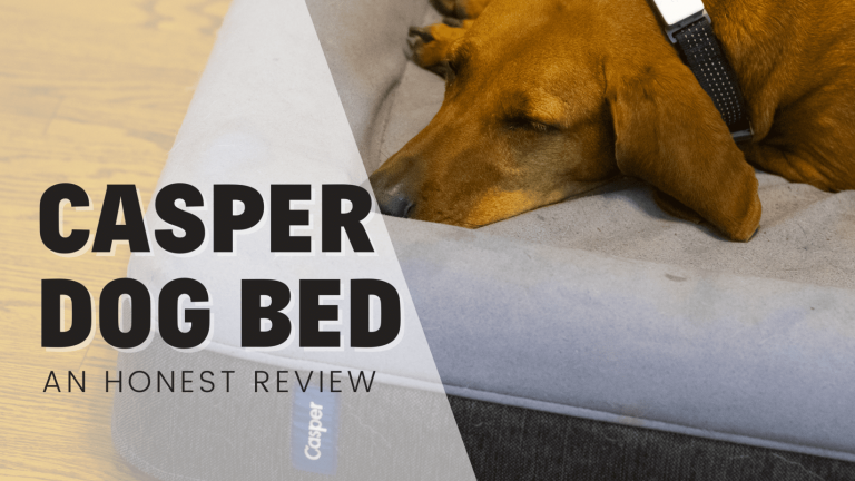 The Casper Dog Bed – An Honest Review
