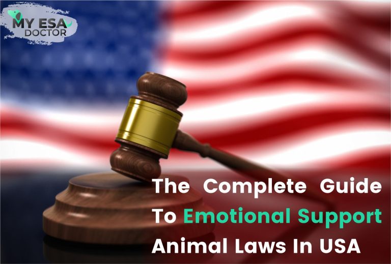 The Complete Guide to Emotional Support Animal Laws in USA
