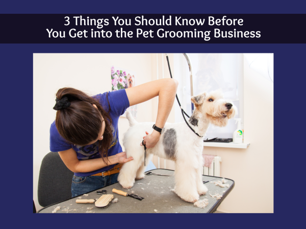 3 Things You Should Know Before You Get into the Pet Grooming Business - The Pet Blog Lady