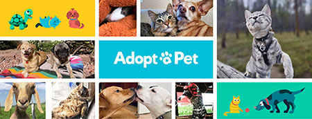 Adopt-a-Pet.com Blog What’s New at Adopt-a-Pet.com in July 2022