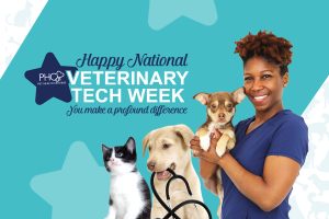 Celebrating Veterinary Technicians Week | Blog