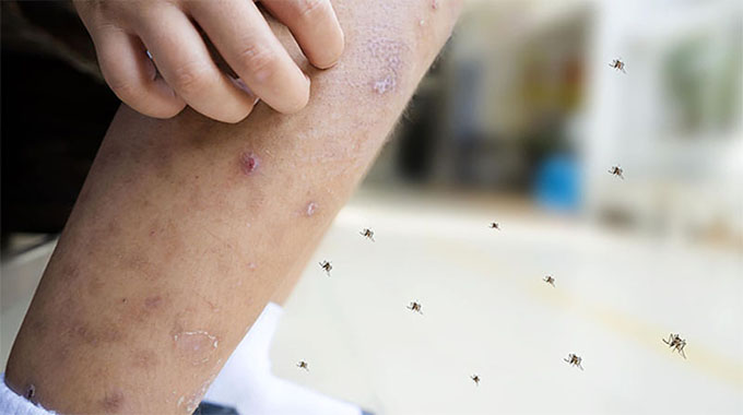 How to Get Rid of Mosquito Bite Scars